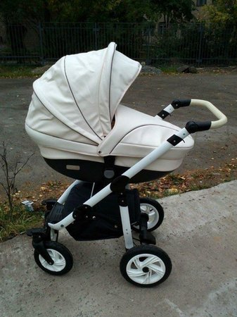 Отдам бесплатно - , 