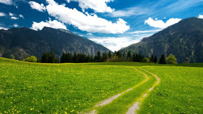 Тестовое объявление 2 - , 